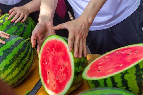 爆料吃瓜加州大学,揭秘学生爆料背后的真相