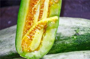 免费吃网红的瓜最新,免费吃瓜背后的秘密与真相